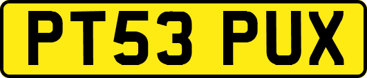 PT53PUX