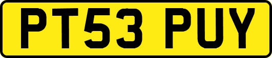 PT53PUY