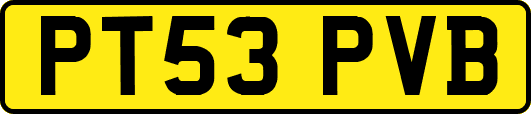 PT53PVB