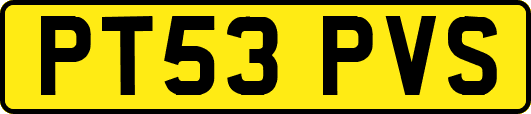 PT53PVS