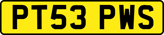 PT53PWS