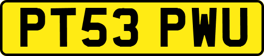 PT53PWU