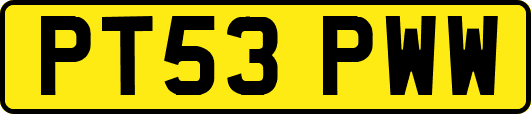 PT53PWW