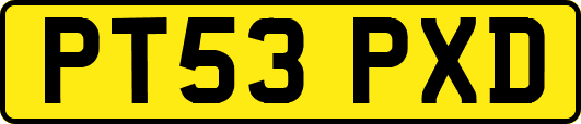 PT53PXD