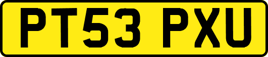 PT53PXU