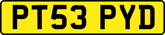 PT53PYD