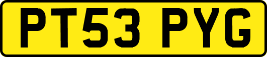 PT53PYG