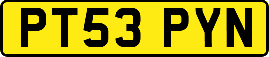 PT53PYN