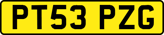 PT53PZG