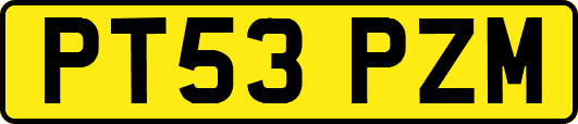 PT53PZM