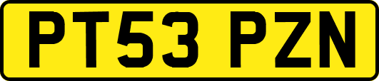 PT53PZN