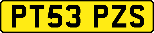 PT53PZS