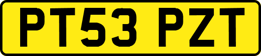 PT53PZT
