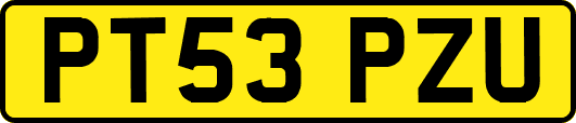 PT53PZU