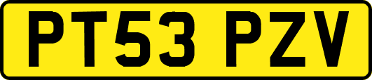PT53PZV