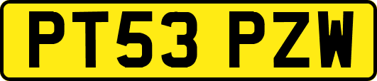 PT53PZW