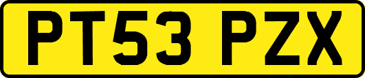 PT53PZX