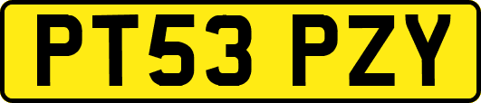 PT53PZY