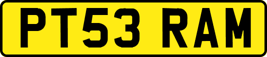 PT53RAM
