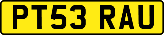 PT53RAU