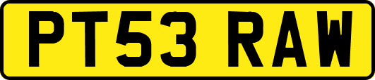 PT53RAW