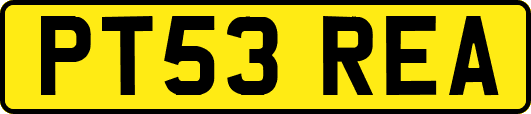 PT53REA