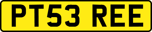 PT53REE
