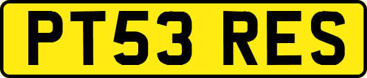 PT53RES