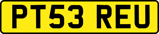 PT53REU