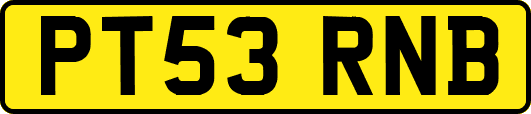 PT53RNB