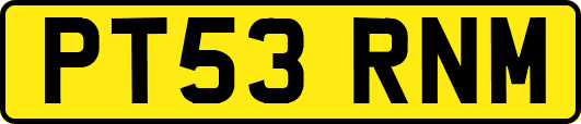 PT53RNM