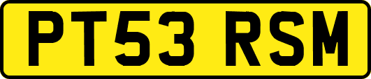 PT53RSM