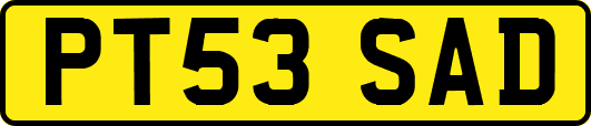 PT53SAD