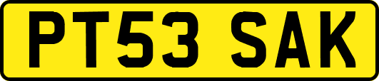 PT53SAK