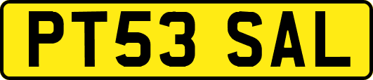 PT53SAL