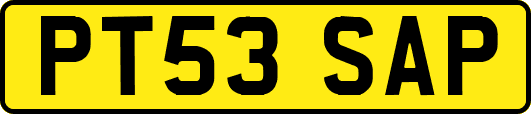 PT53SAP