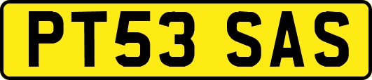 PT53SAS