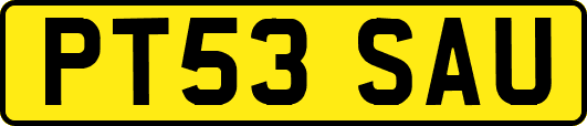 PT53SAU