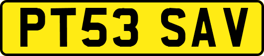 PT53SAV