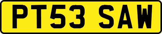 PT53SAW