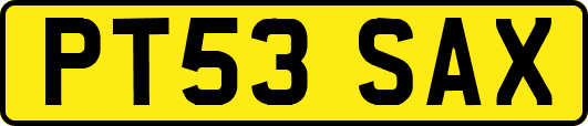PT53SAX