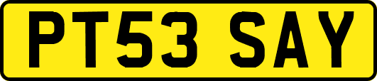 PT53SAY