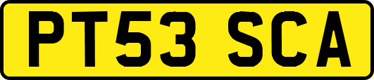 PT53SCA