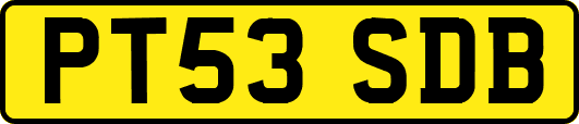 PT53SDB