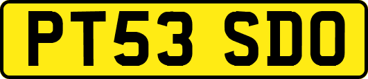 PT53SDO