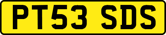 PT53SDS