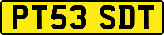 PT53SDT