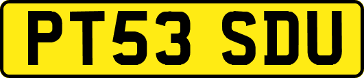 PT53SDU