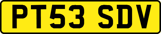 PT53SDV