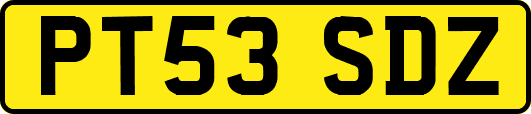 PT53SDZ